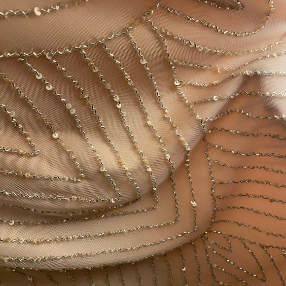 NEW WITH TAGS Adrianna Papell Long Blouson Dress, color “Blush”, SZ 6 - Picture 3 of 5